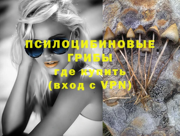 mdma Бородино